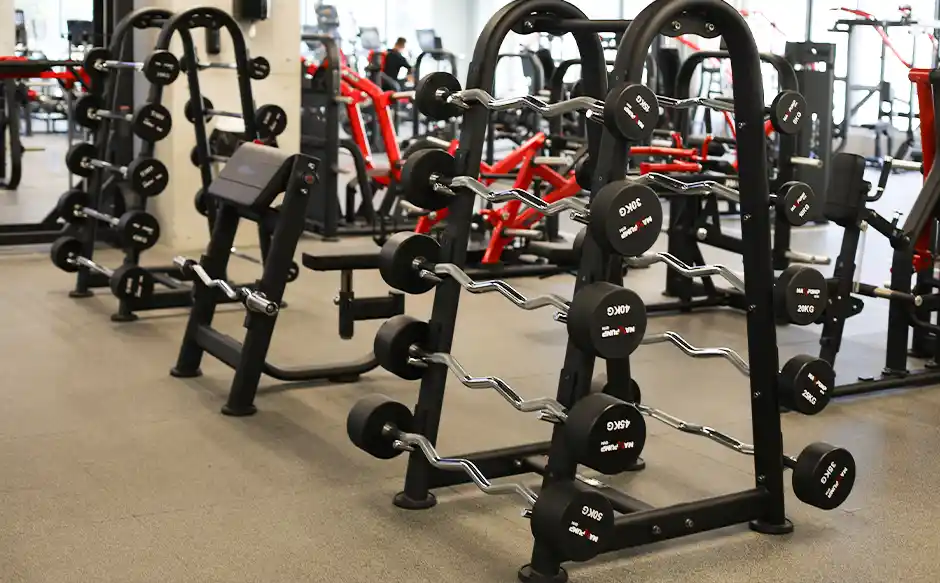 Free Weights Training in Amman